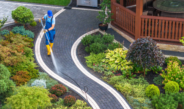 Best Commercial Building Pressure Washing  in Brookmont, MD