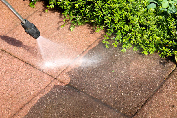 Best Affordable Pressure Washing  in Brookmont, MD